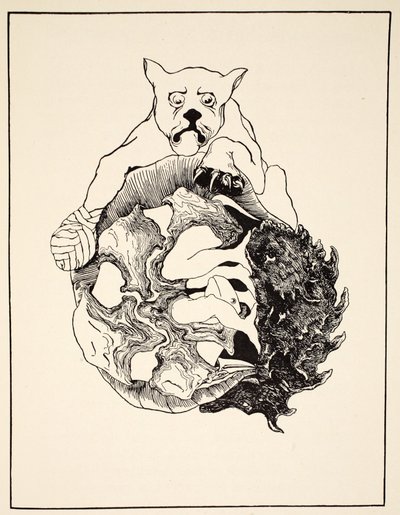 The Whole Story of the Jaguar and the Hedgehog and the Tortoise and the Armadillo All in a Heap by Joseph Rudyard Kipling